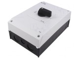 Separator-&Icirc;ntrerupător 3P 63A IP65