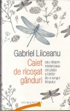Gabriel Liiceanu - Caiet de ricosat ganduri sau despre misterioasa circulatie a