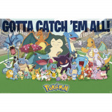 Poster Maxi Pokemon - 91.5x61 - All Time Favorites