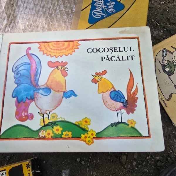 Cocoselul pacalit - Manfred Hinrich