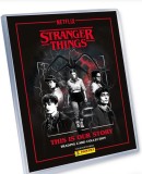 Album ,,Stranger Things" , Panini, 2025 , All seasons.
