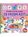 Cumpara ieftin Ce facem azi? Primele 100 de cuvinte. Carte cu clapete/***