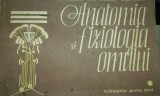 Anatomia si fiziologia omului. Indrumator pentru elevi, R. Carmaciu, 1983