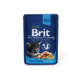 Cumpara ieftin Brit Premium Cat Junior plic cu carne de pui, 100 g