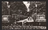 CPIB 19514 CARTE POSTALA - BUZIAS. VEDERE DIN PARC, RPR