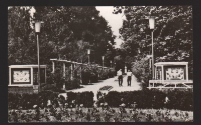 CPIB 19514 CARTE POSTALA - BUZIAS. VEDERE DIN PARC, RPR foto