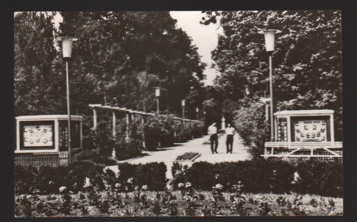 CPIB 19514 CARTE POSTALA - BUZIAS. VEDERE DIN PARC, RPR