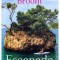 ISABELLE BROOM - ESCAPADA - dragoste