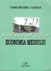 Economia Mediului - Gheorghe Coman, Editura PIM, 2004, 316 pagini
