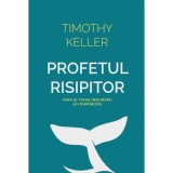 Profetul risipitor. Iona si taina indurarii lui Dumnezeu - Timothy Keller