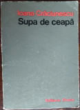 IOANA CRACIUNESCU - SUPA DE CEAPA (VERSURI, 1981) [fotografii de MIHAI OROVEANU]