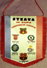 Fanion Steaua foto