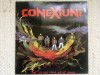 Vinil Rock Conexiuni - Tot Ce-aș Vrea Să-ți Spun LP Eurostar 1993 NM