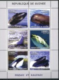 GUINEA 2002 FAUNA MAMIFERE MARINE BALENE, Nestampilat