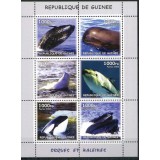 GUINEA 2002 FAUNA MAMIFERE MARINE BALENE