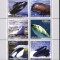 GUINEA 2002 FAUNA MAMIFERE MARINE BALENE