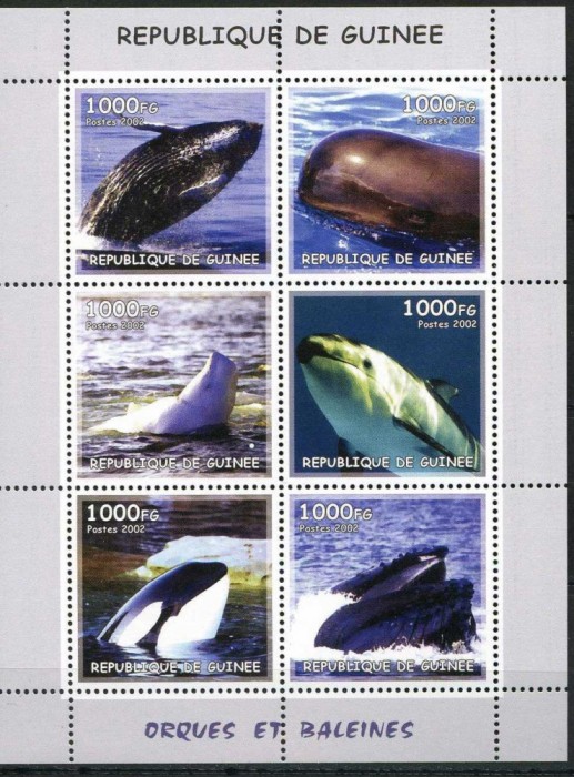 GUINEA 2002 FAUNA MAMIFERE MARINE BALENE