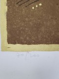 Sami Briss - Pasari Calatoare, Serigrafie, Semnata, Album Arta, Editie Limitata 70/200, 58x43.5cm