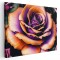 Tablou floare trandafir detaliu mov 1657 Tablou canvas pe panza CU RAMA 60x90 cm