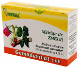 Cumpara ieftin Mladite de Zmeur Gemoderivat, 30 monodoze, Hofigal