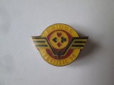 Insigna Bridge Festival 90,dimensiuni:25 X 18 mm, Romania de la 1950