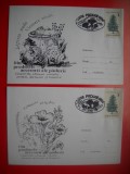 HOPCT PLIC NR 1578 SET 2 PLICURI - LUNA PADURII /CIUPERCI SIBIU 1996 -ROMANIA