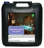 Solutie piscina anti alge ACVA QUAT Arca Lux, Bidon 20L