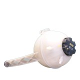 Vas expansiune Bmw X5 (G05) 18-, X6 (G06) 19-, X7 (G07) 19-, 17 13 5 A6A 031/17 13 8 610 662; 17135A6A031-PFM 17138610662-PFM