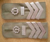 Grade Militare Comunism: C1 Maistru Tehnic, Camasa/Bluza Militara - Colectie Militarie