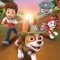 Meet Tracker! (Paw Patrol)