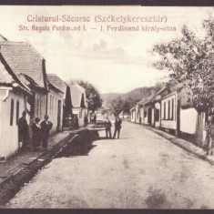 3082 - CRISTURU SECUIESC, Harghita, street stores, Romania - old postcard - used