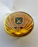 Insigna Unitatea Speciala de Paza si Protocol 1990 - 1991