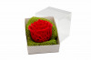 3D Voronoi Rose