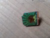 Insigne Pionieri Soim orientat spre dreapta verde