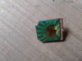 Insigne Pionieri Soim orientat spre dreapta verde
