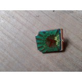 Insigne Pionieri Soim orientat spre dreapta verde