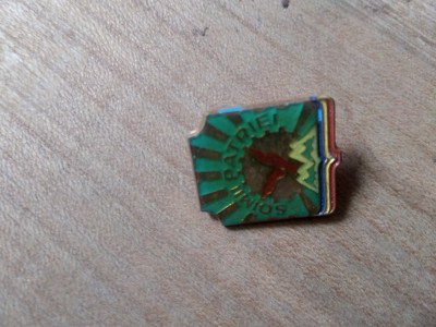 Insigne Pionieri Soim orientat spre dreapta verde foto