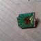 Insigne Pionieri Soim orientat spre dreapta verde