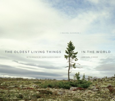 The Oldest Living Things in the World foto