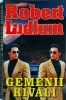Robert Ludlum - Gemenii rivali, thriller, editura Lider, stare buna, dimensiune 13 x 20 cm, limba romana