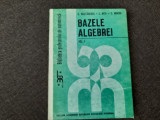 Bazele algebrei C.Nastasescu,C.Nita,C.Vraciu FOARTE BUNA