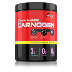 Aminoacizi Carnogen Beta-Alanine, 300g, Genius Nutrition