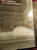 Elie carafoli dinamica fluidelor incompresibile A07