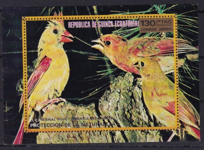 Equatorial Guinea 1976 Birds in North America perf. sheet Mi.B250 MNH LOT.007