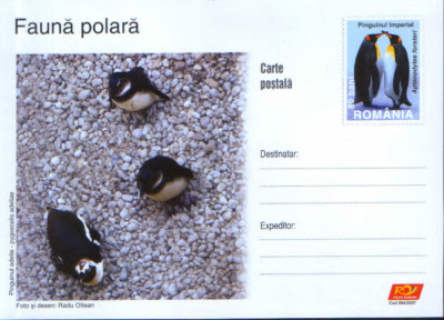 Intreg postal CP nec.2007 - Fauna Polara - pinguinul adelie foto