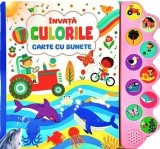 Invata culorile. Carte cu sunete - Flamingo Junior