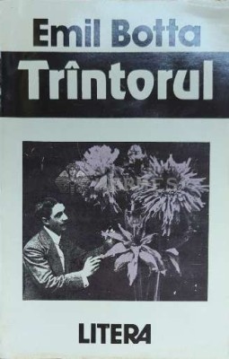 Trintorul - 1993 - Emil Botta ($D56) foto