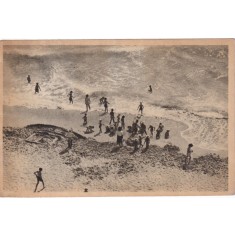 Vasile Roaita. Colonie de copii la mare (circulata 1954)