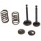 Set supape motor bicicleta (4 timpi)