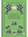 Ocolul pamantului in 80 de zile/Jules Verne, Litera
